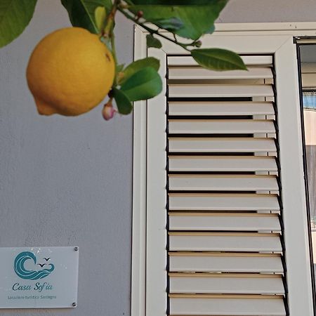 Casa Sofia Lägenhet Tertenìa Exteriör bild